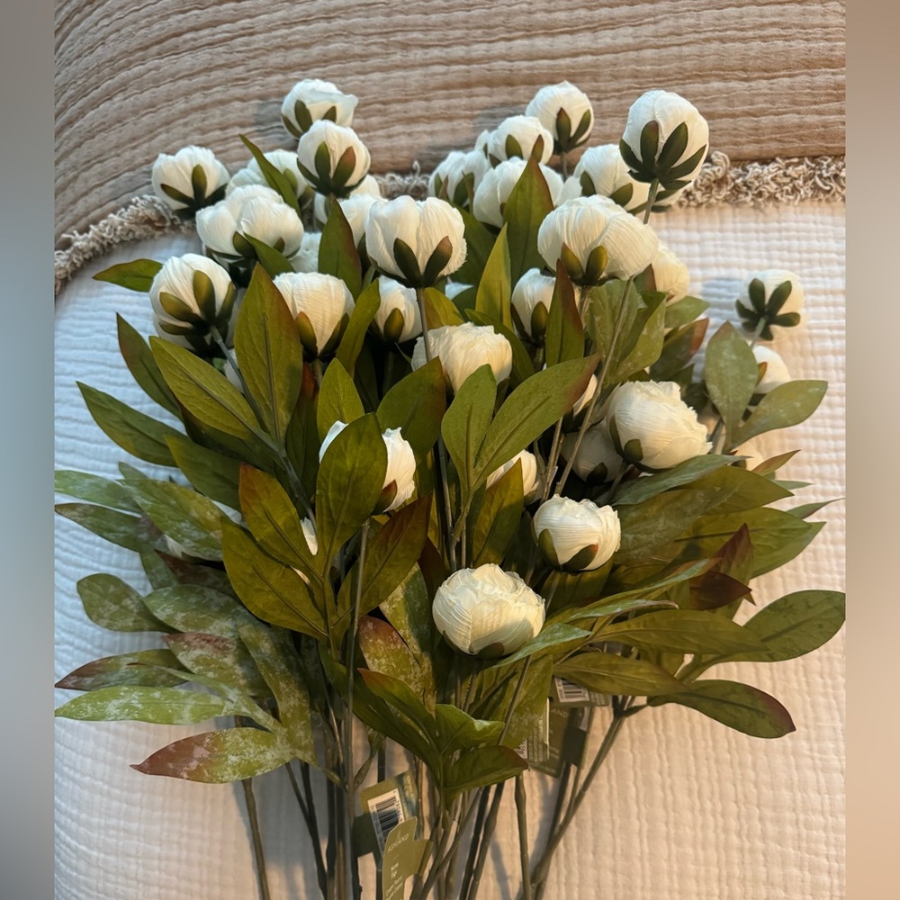 Cream Peony Stems by Ashland  (8)